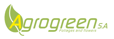 Productor ubicado en Carmen de Viboral, Antioquia, dedicado al cultivo de aguacate Hass, desde donde impulsa una producción sostenible y de alta calidad.Actualmente cuenta con Registro Predio exportador y certificación GlobalGAP