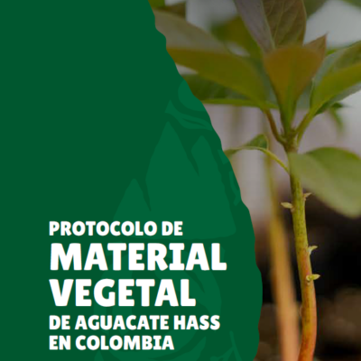 Protocolo de material vegetal de Aguacate Hass en Colombia