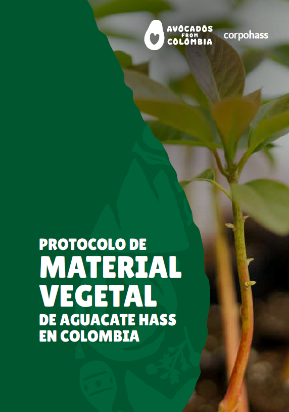 Protocolo de material vegetal de Aguacate Hass en Colombia